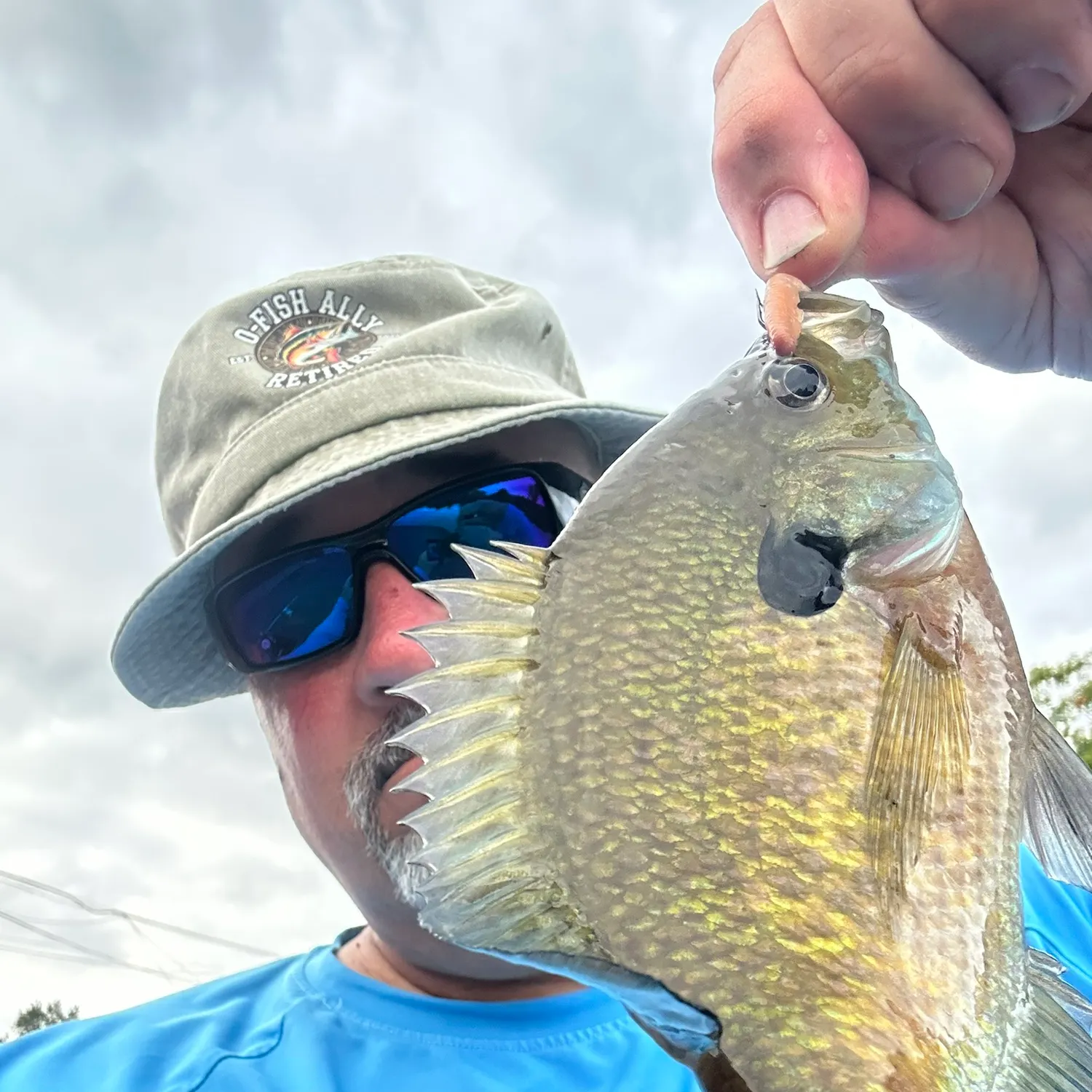 Bluegill caught on Fishbrain