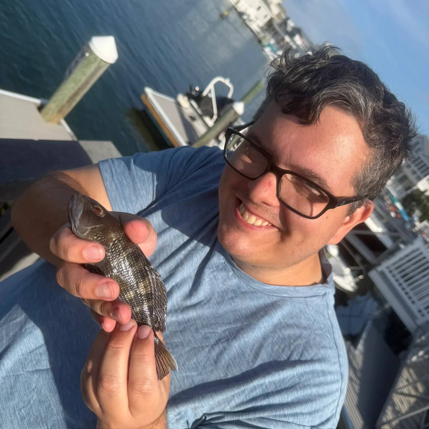 Black sea bass caught on Fishbrain