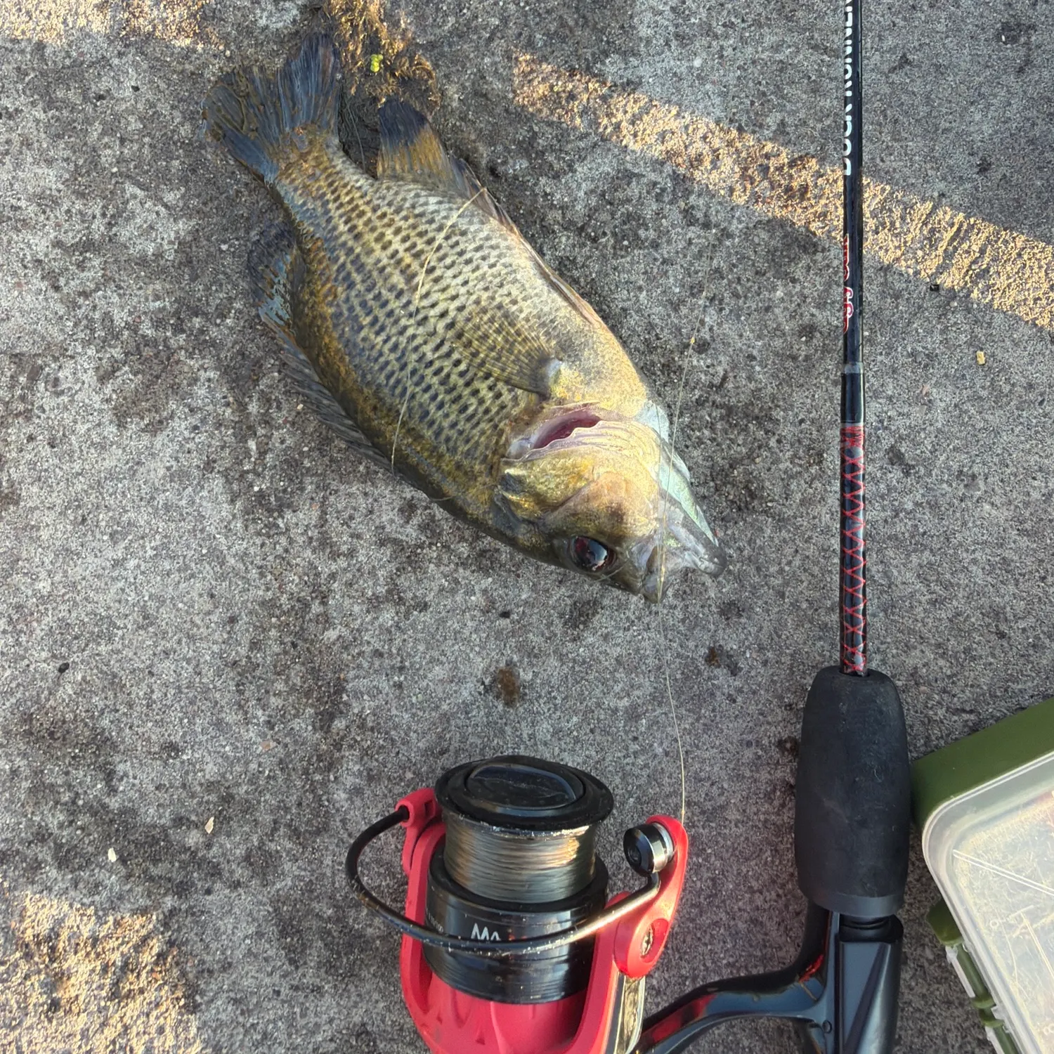 catch