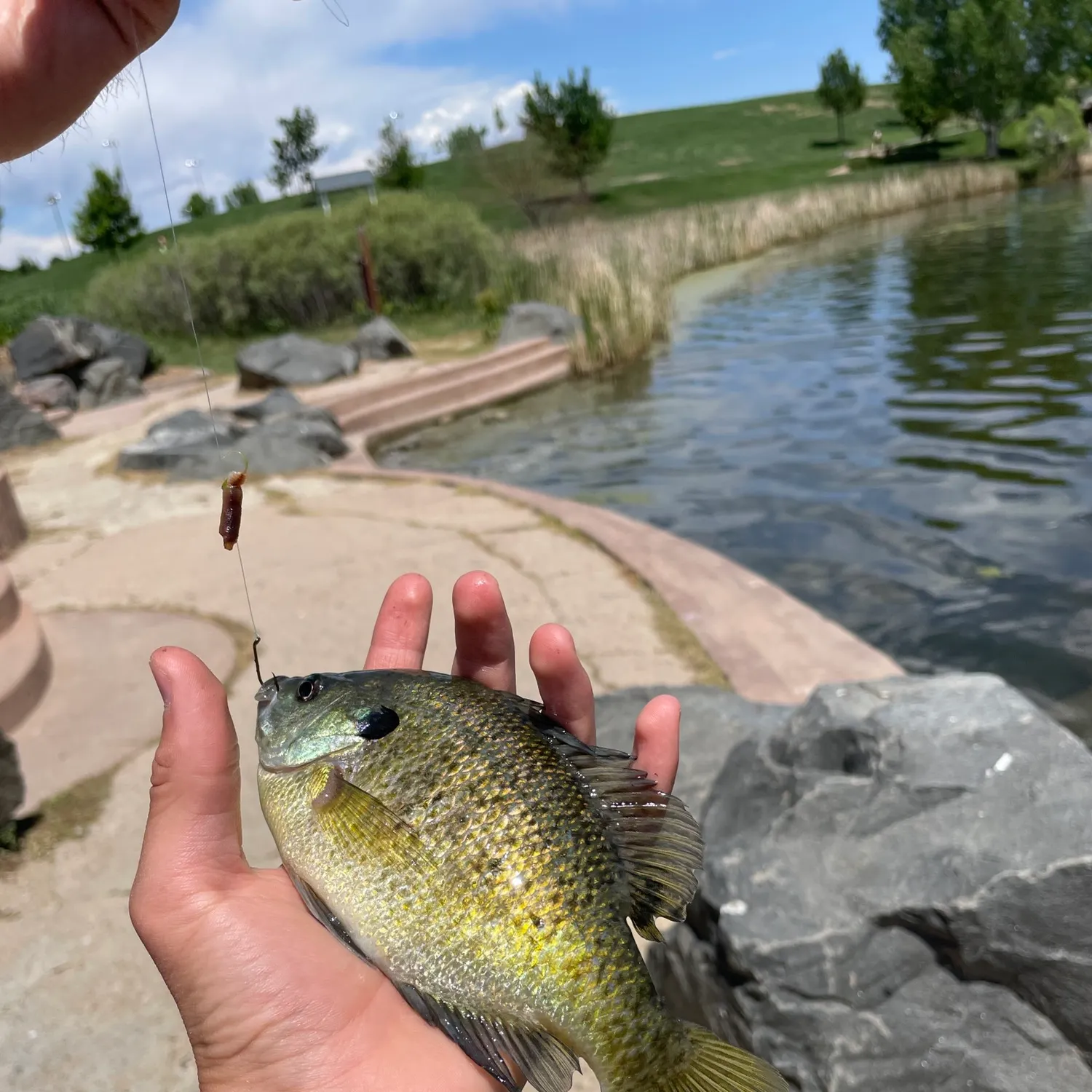 catch