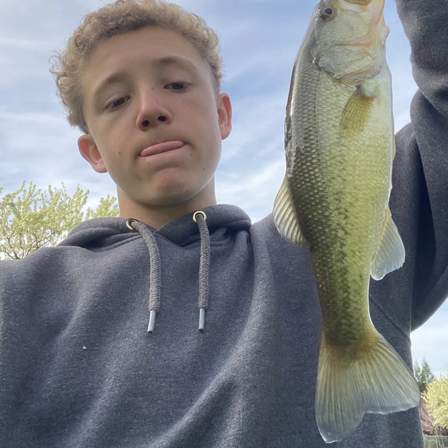 The most recent Australian bass catches on Fishbrain