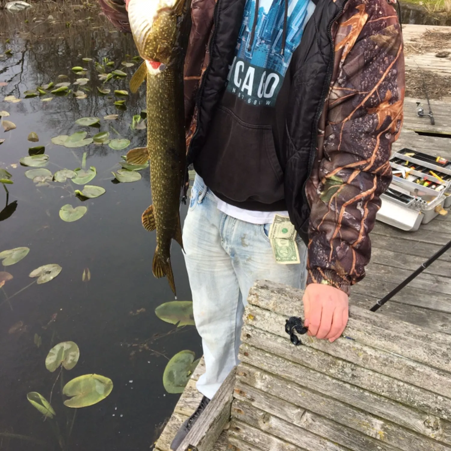 recently logged catches