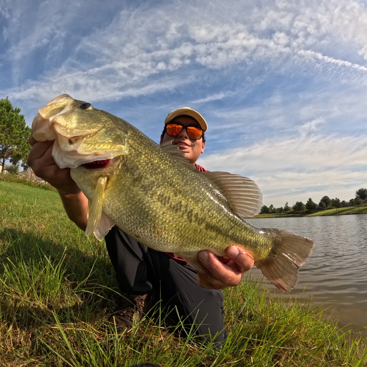 Largemouth bass caught on Fishbrain