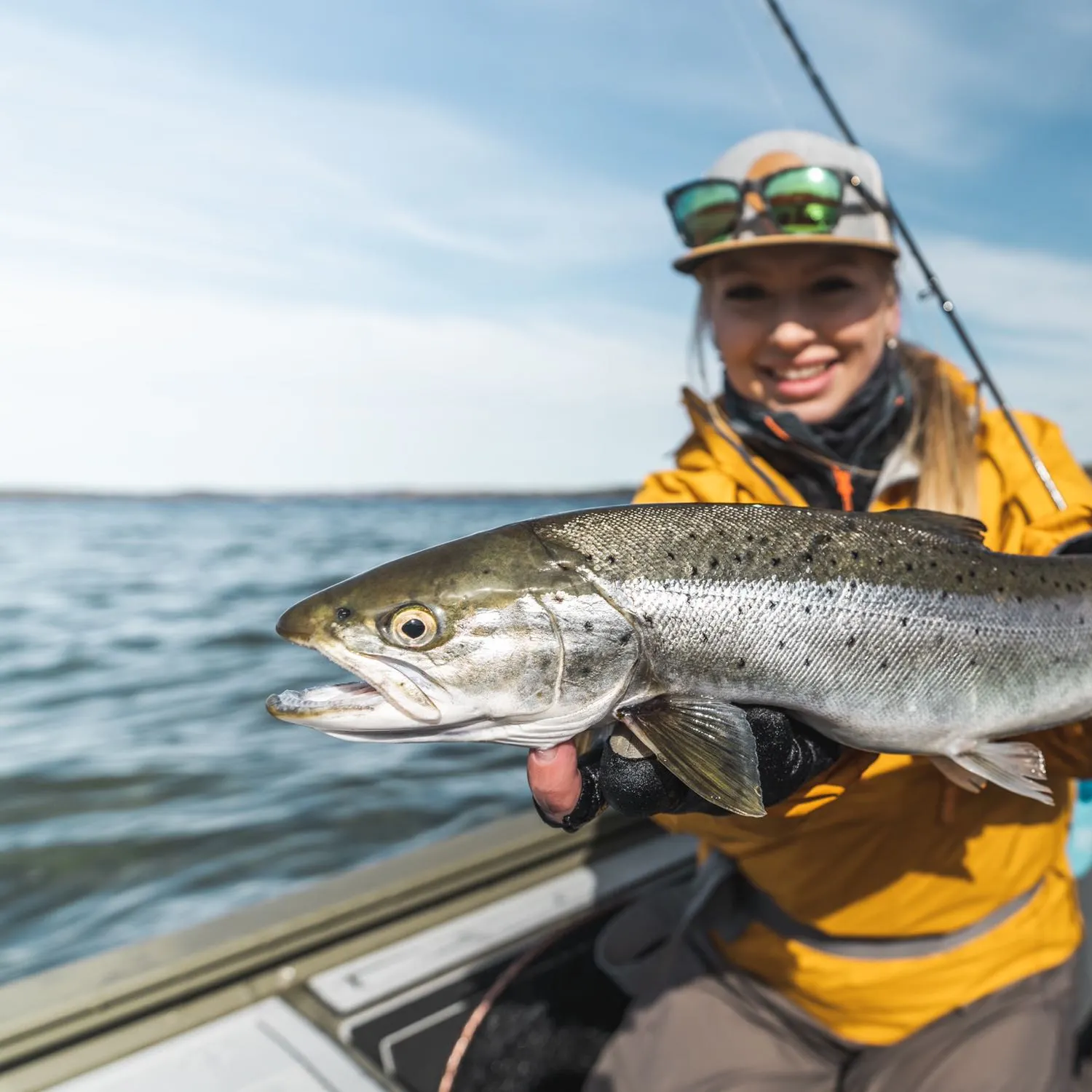 The most popular recent Sea trout catch on Fishbrain