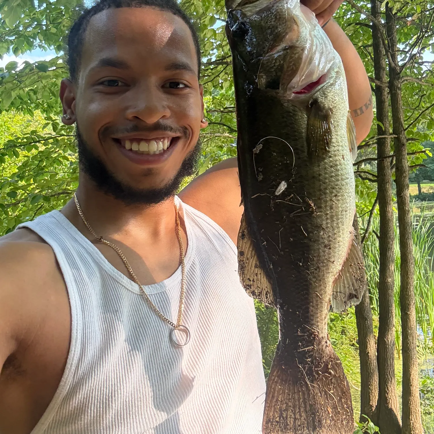 Largemouth bass caught on Fishbrain