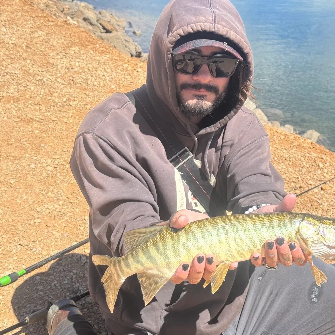 The most recent Tiger muskellunge catches on Fishbrain