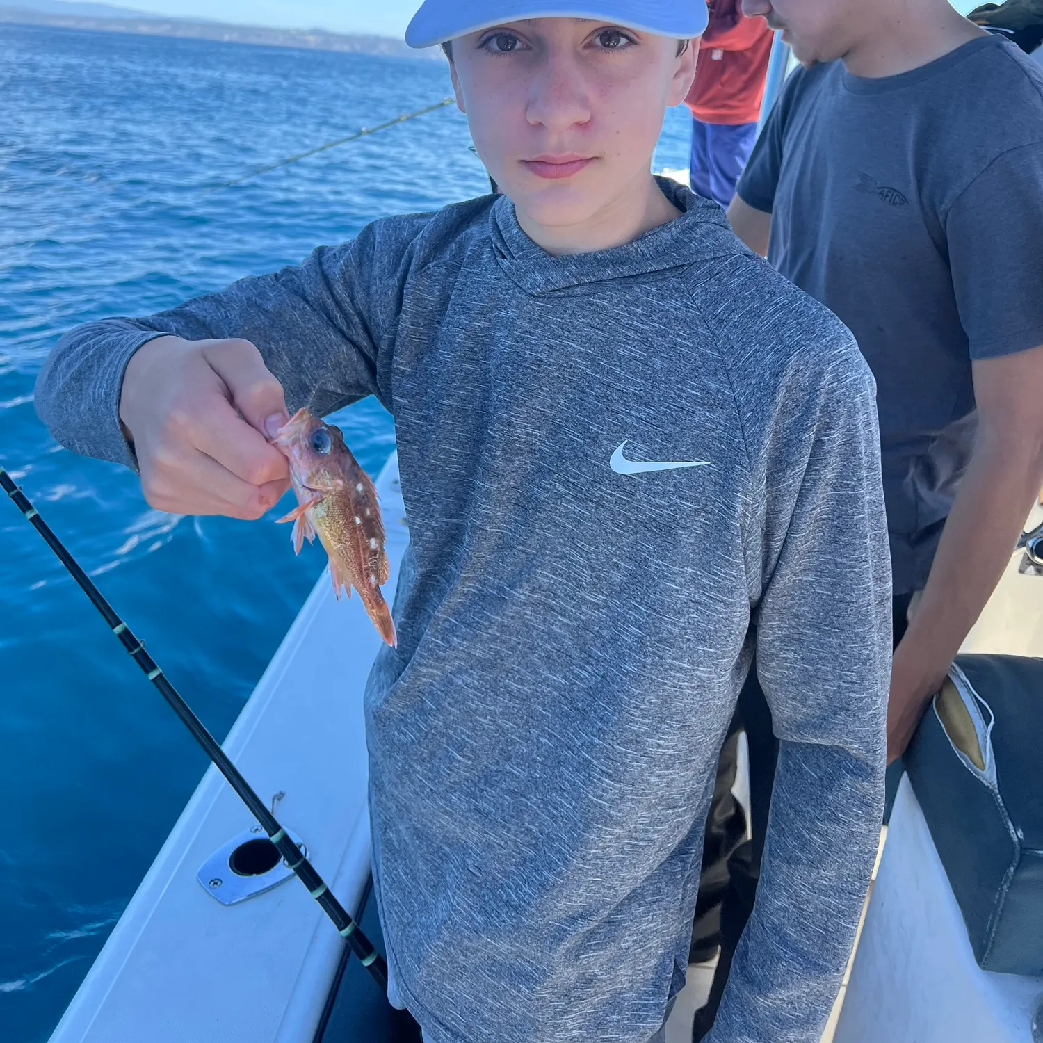 The most recent Honeycomb rockfish catches on Fishbrain