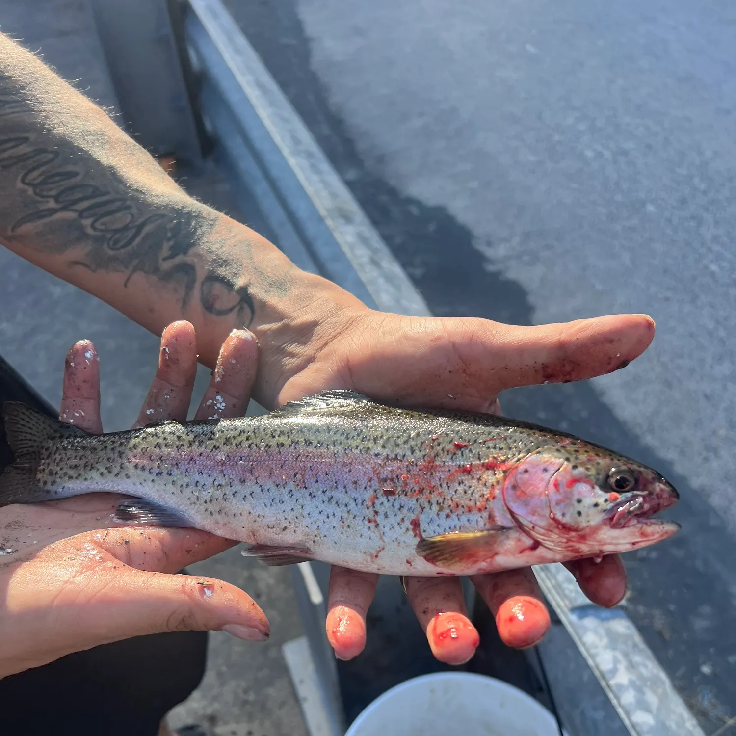 catch
