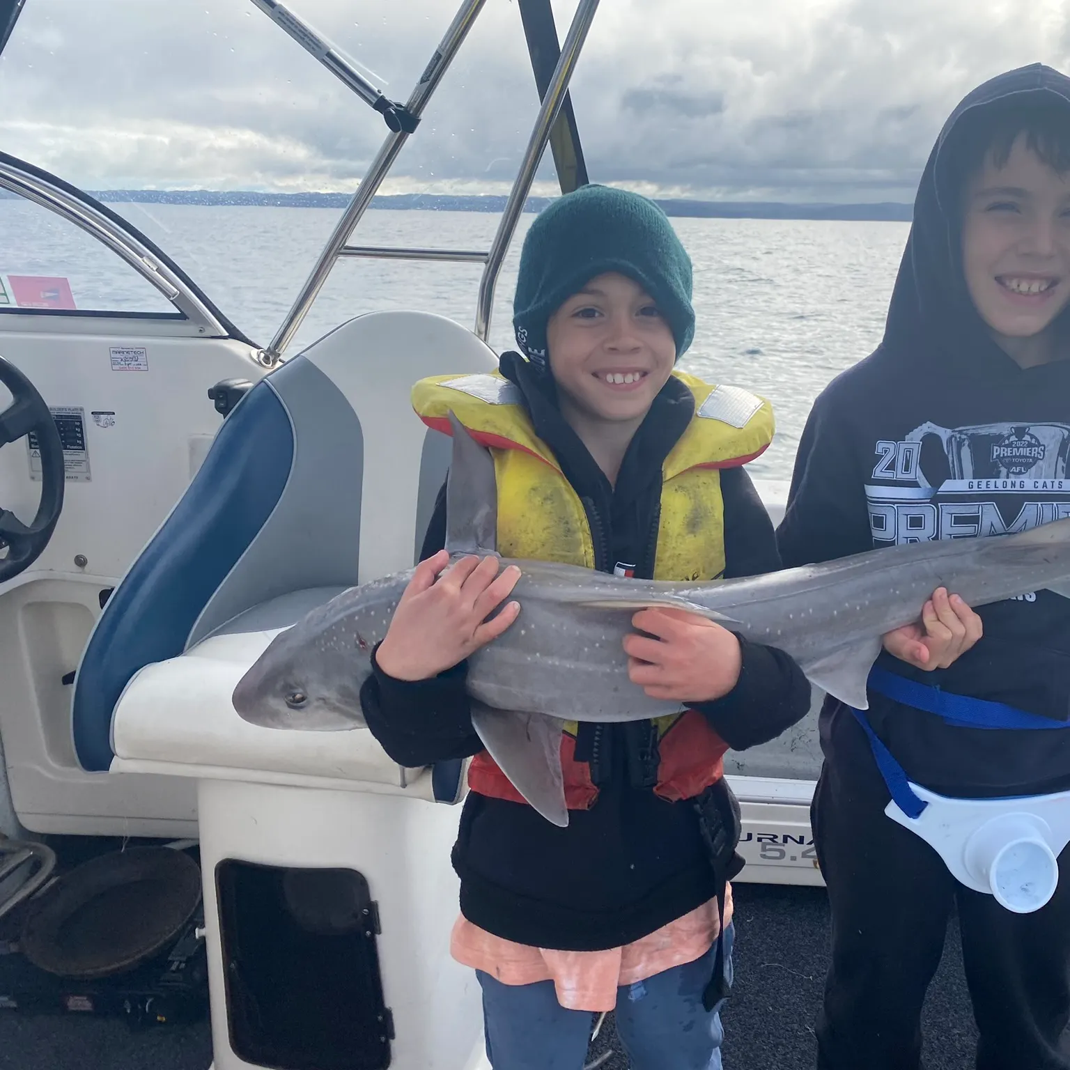 The most recent Gummy shark catches on Fishbrain