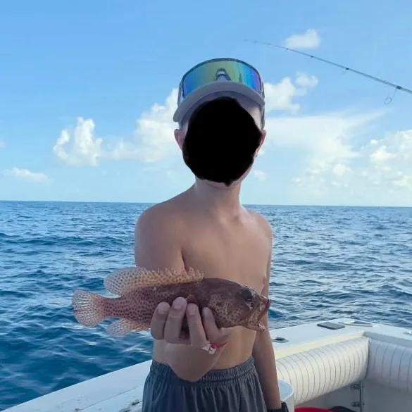 The most recent Graysby grouper catches on Fishbrain