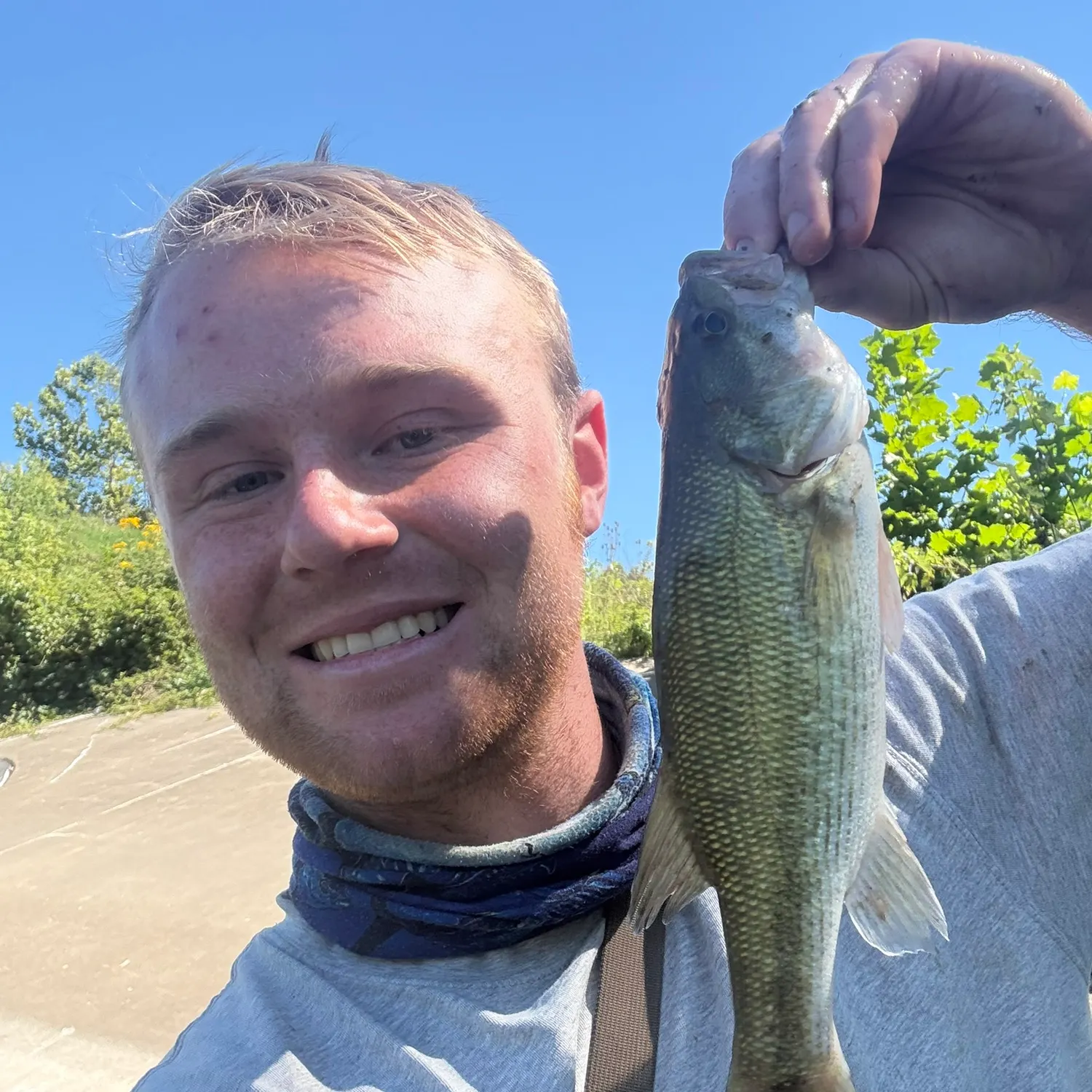 Spotted bass caught on Fishbrain