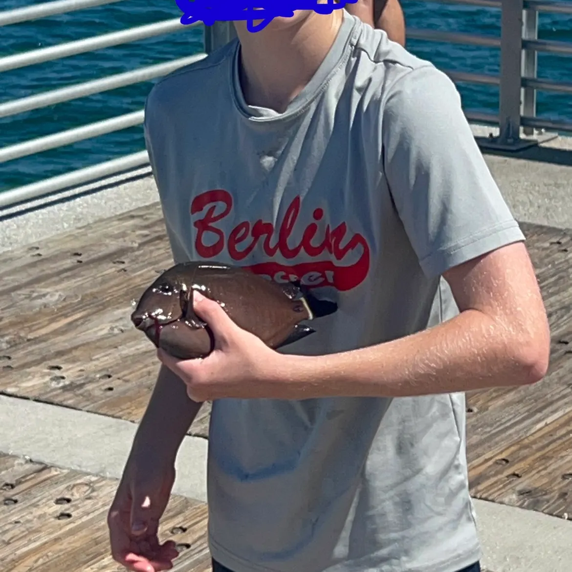 The most recent Dusky parrotfish catches on Fishbrain