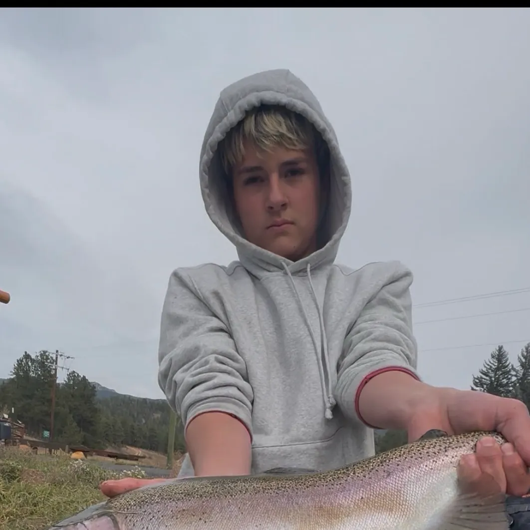 Rainbow trout caught on Fishbrain