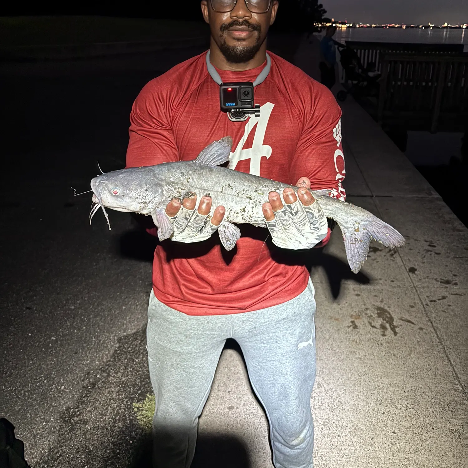 Blue catfish caught on Fishbrain