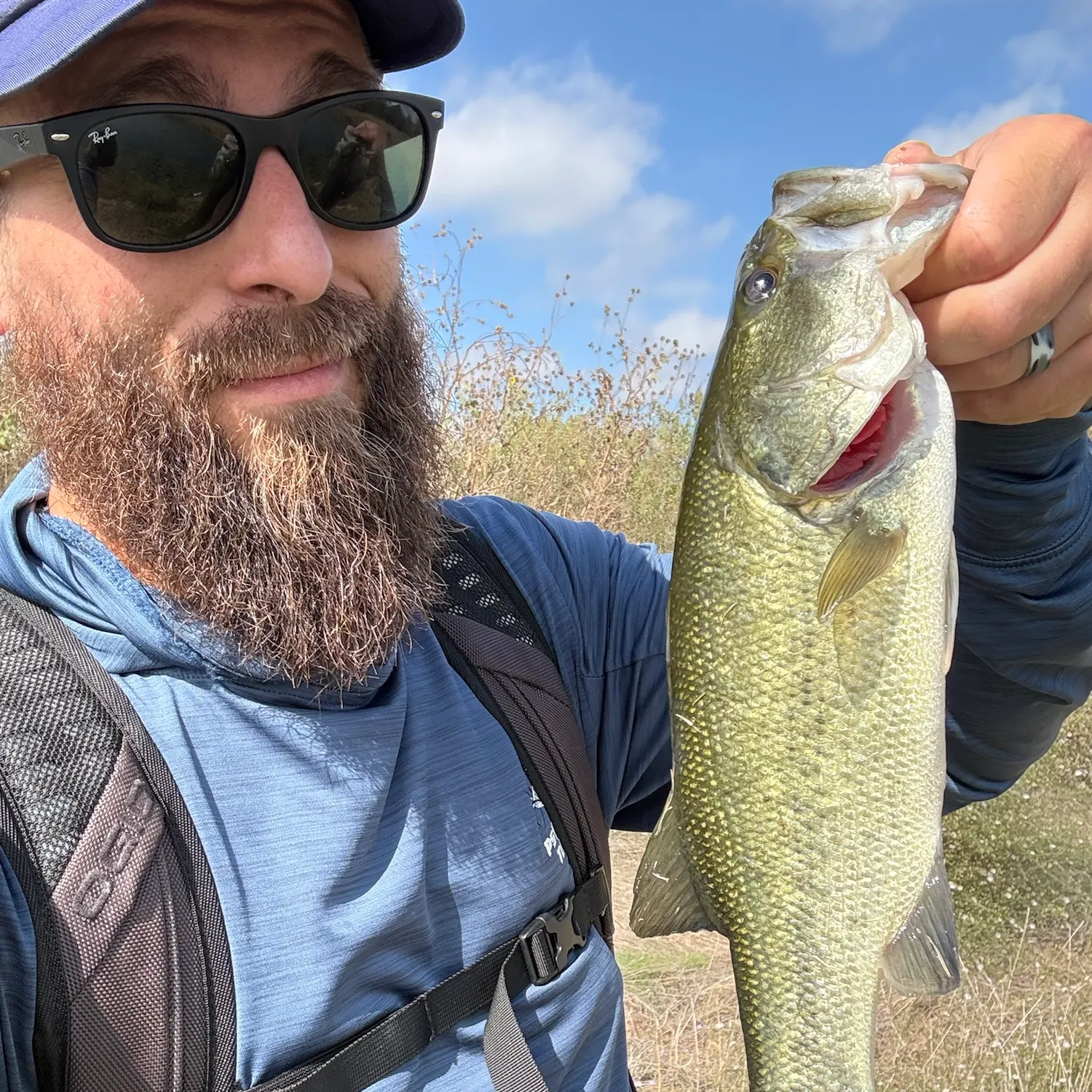 Largemouth bass caught on Fishbrain