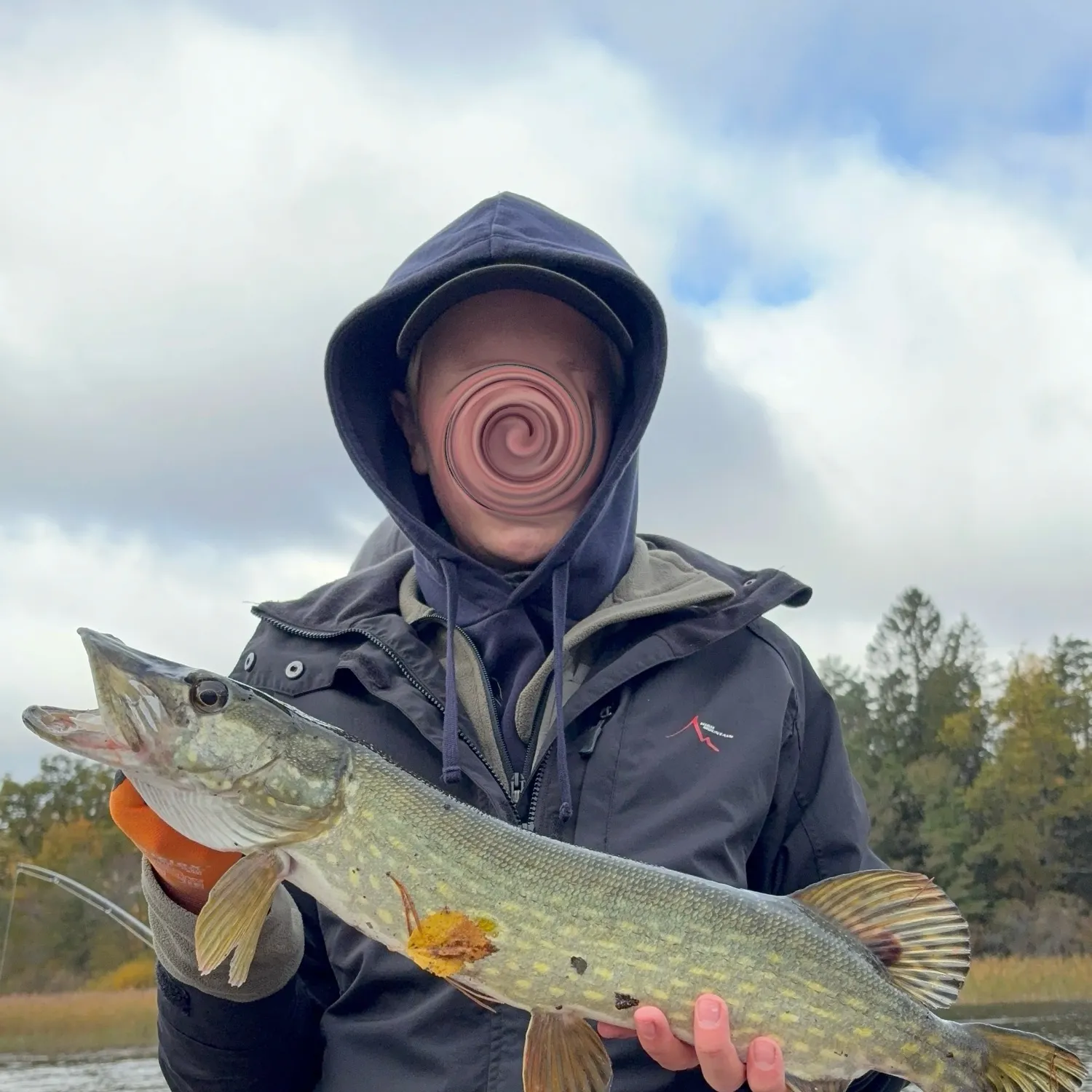 Northern pike caught on Fishbrain