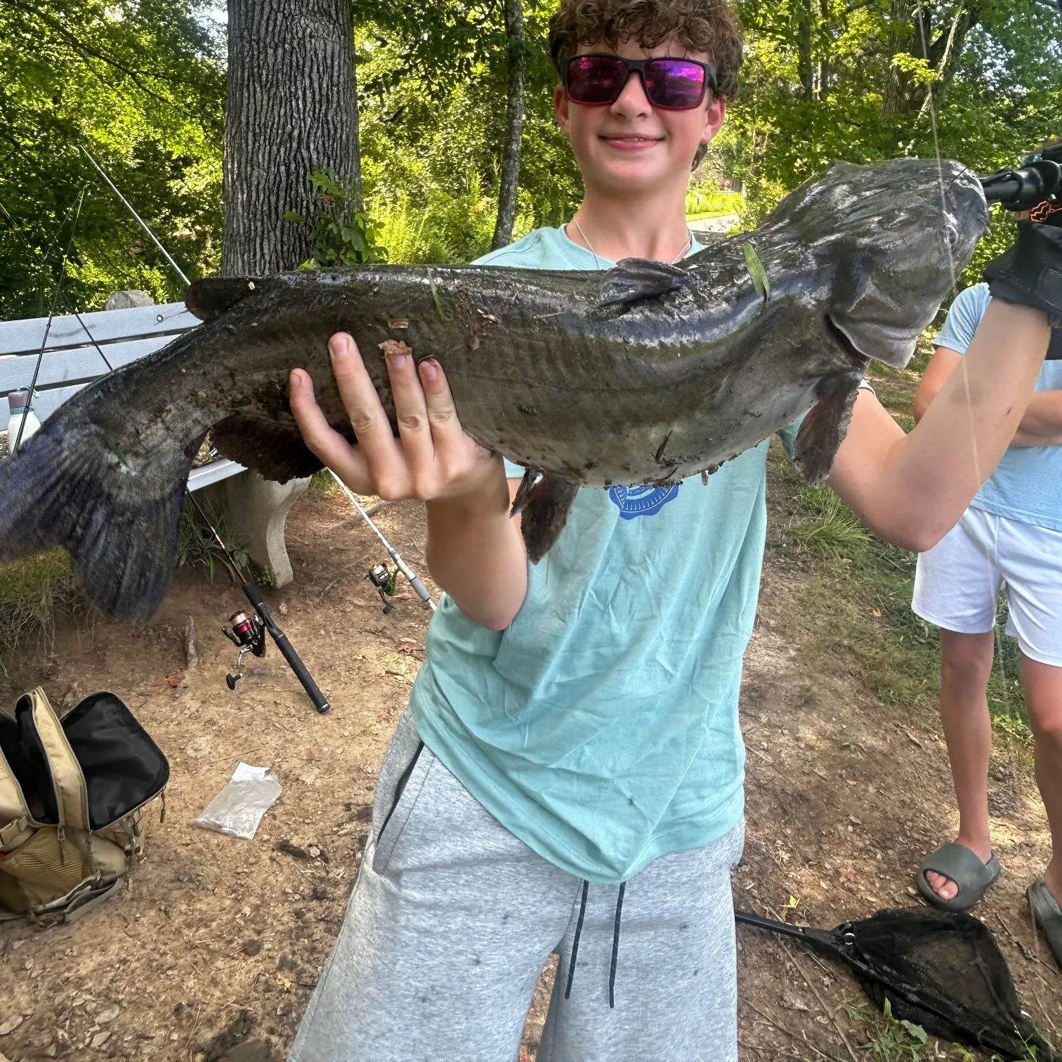 Channel catfish caught on Fishbrain