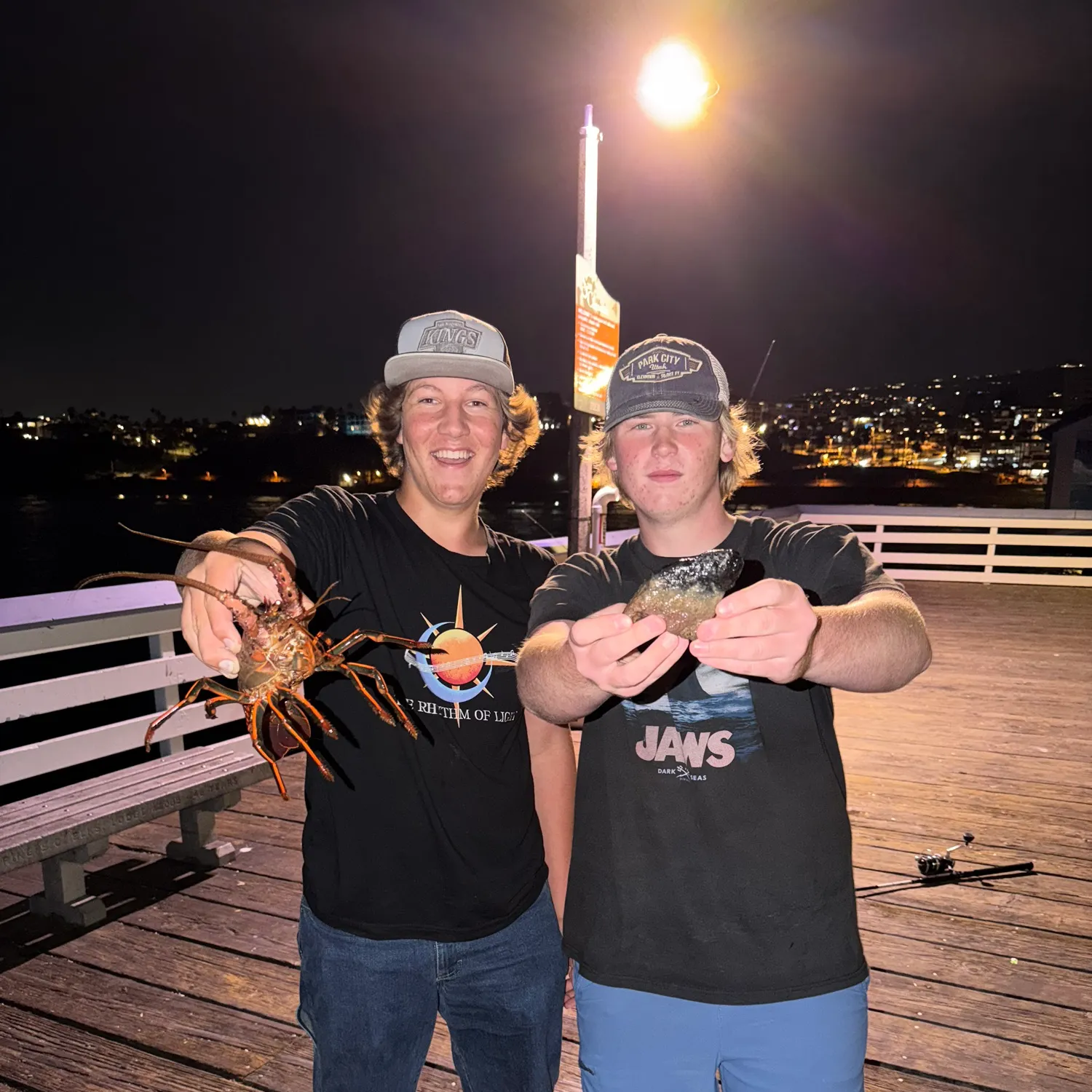 Brown rockfish caught on Fishbrain