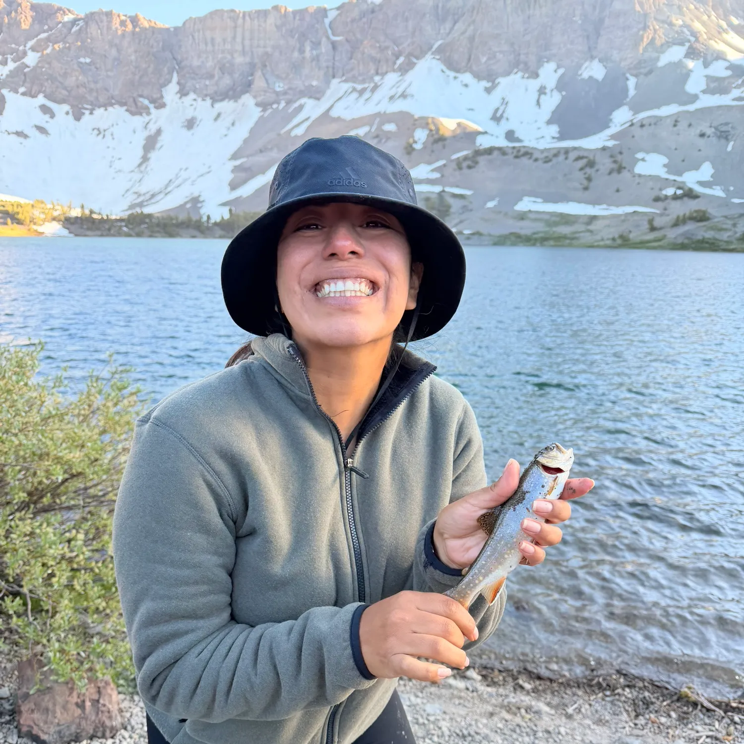 Brook trout caught on Fishbrain
