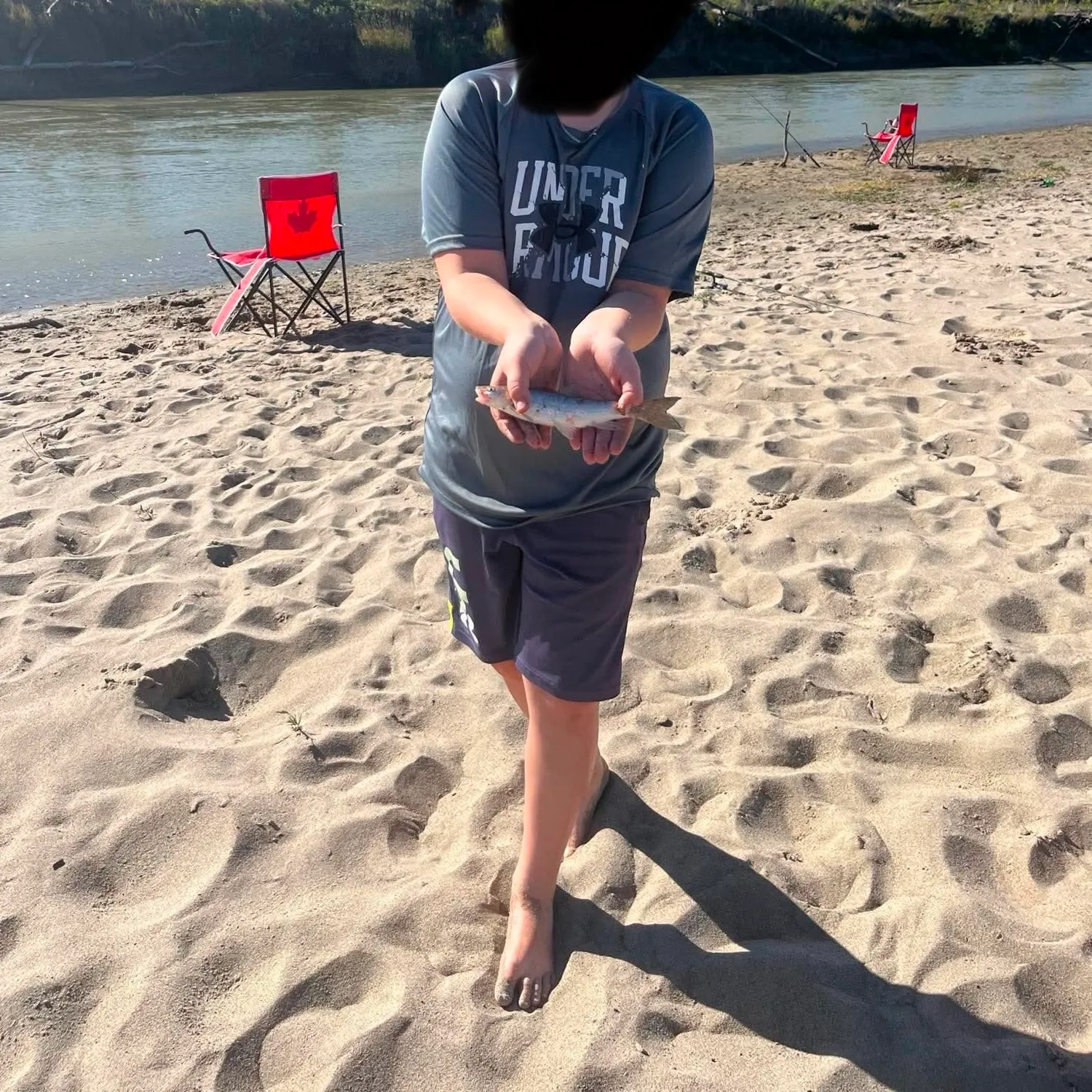 The most recent Lake chub catches on Fishbrain