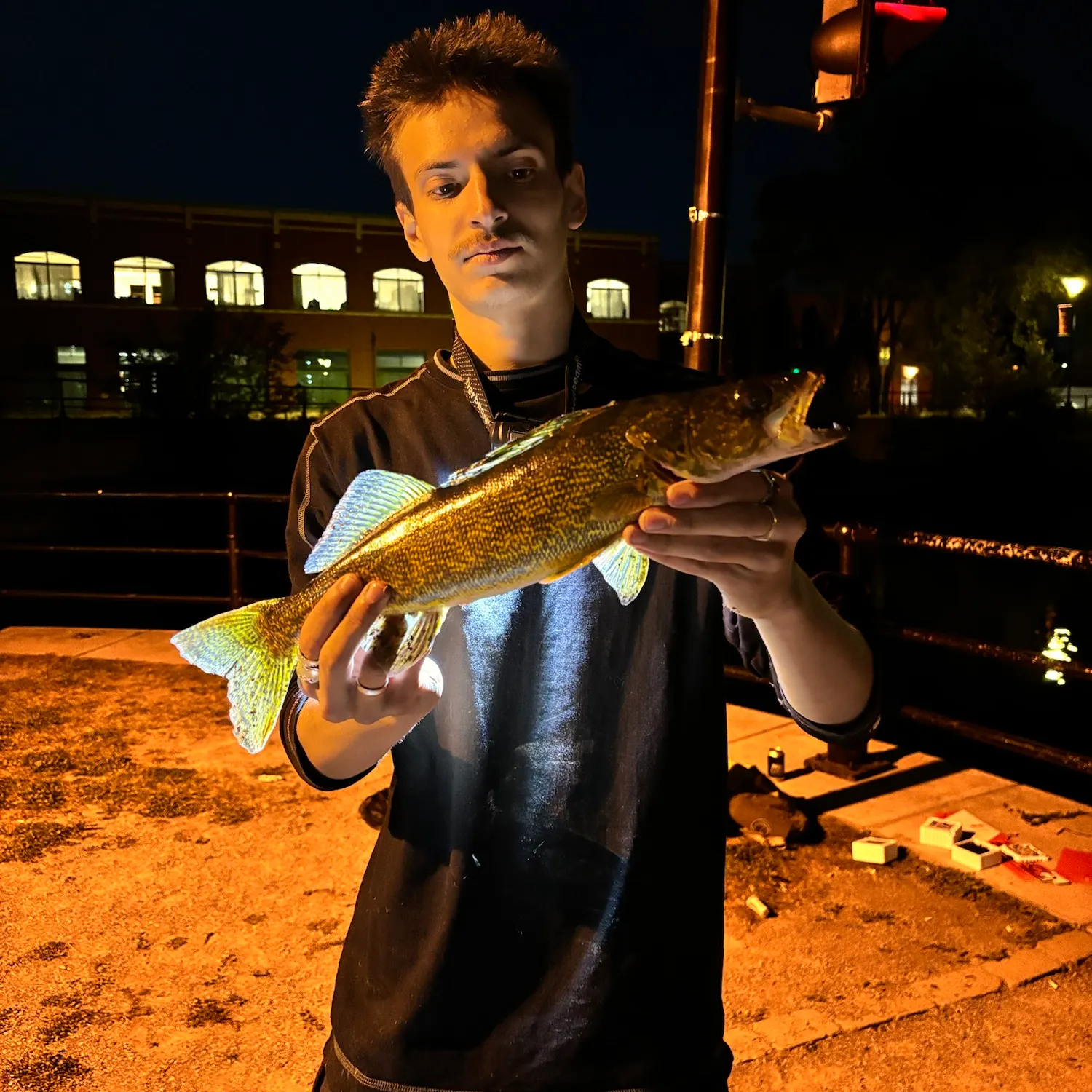 Walleye caught on Fishbrain