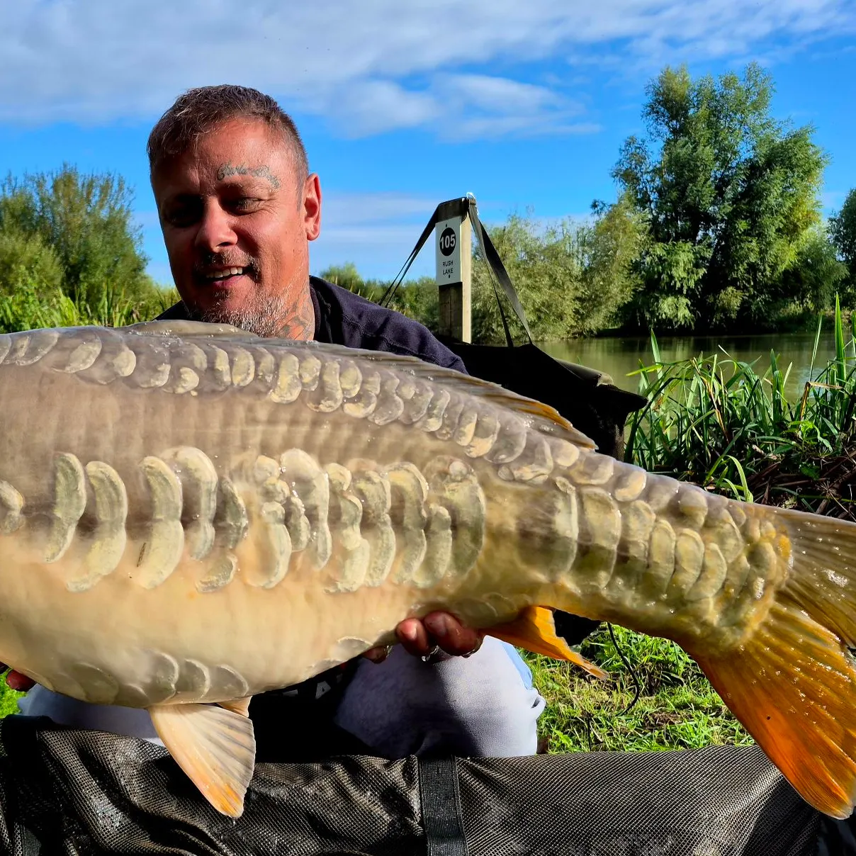 Mirror carp caught on Fishbrain