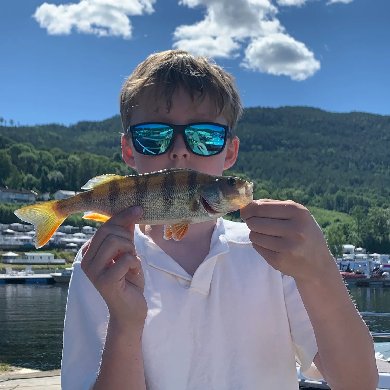 European perch caught on Fishbrain