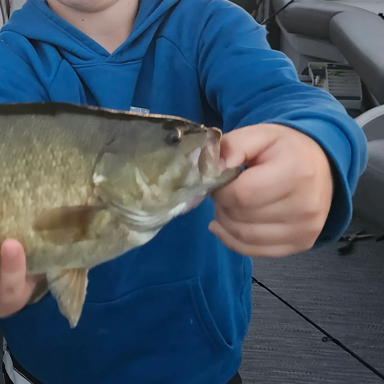 Smallmouth bass caught on Fishbrain
