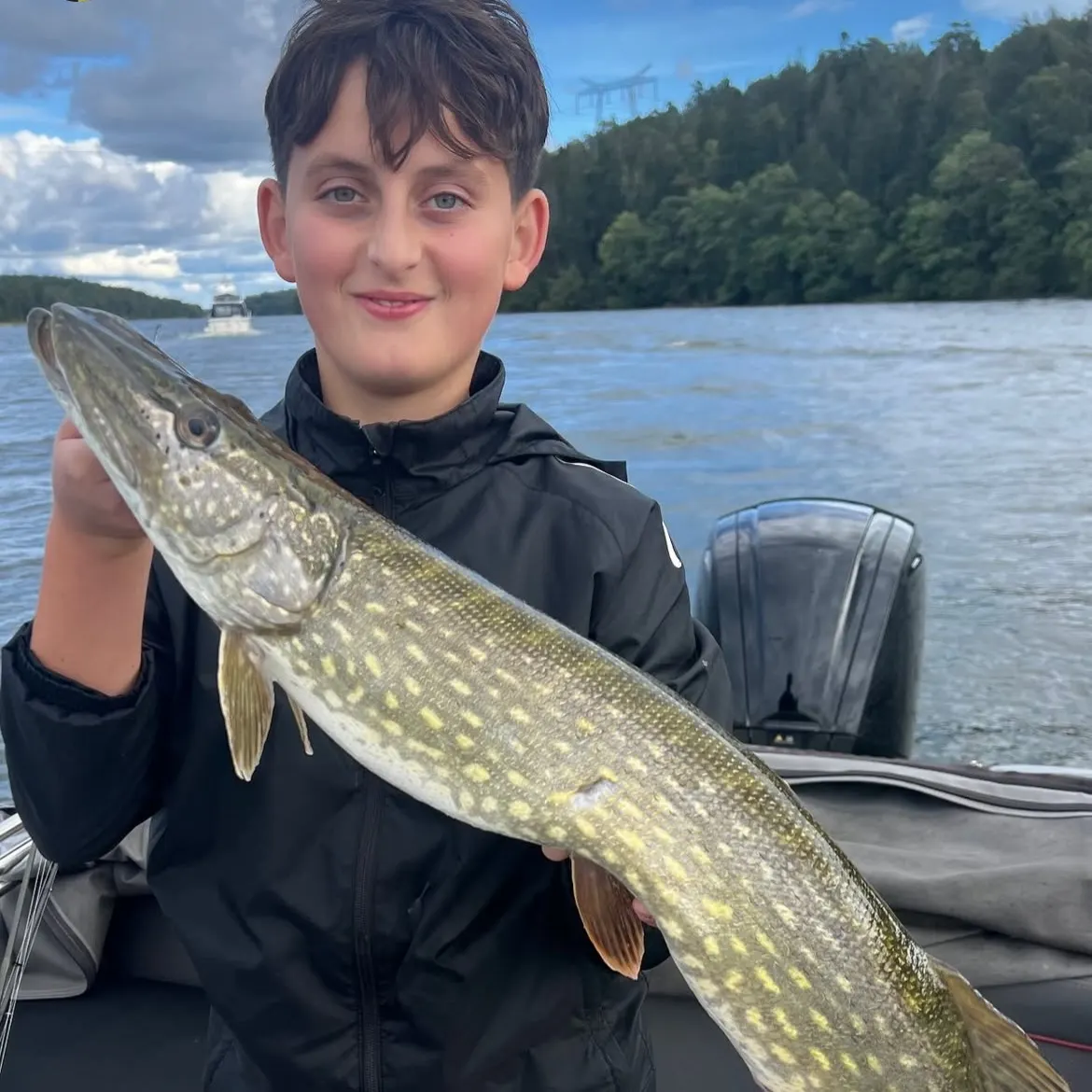 Northern pike caught on Fishbrain