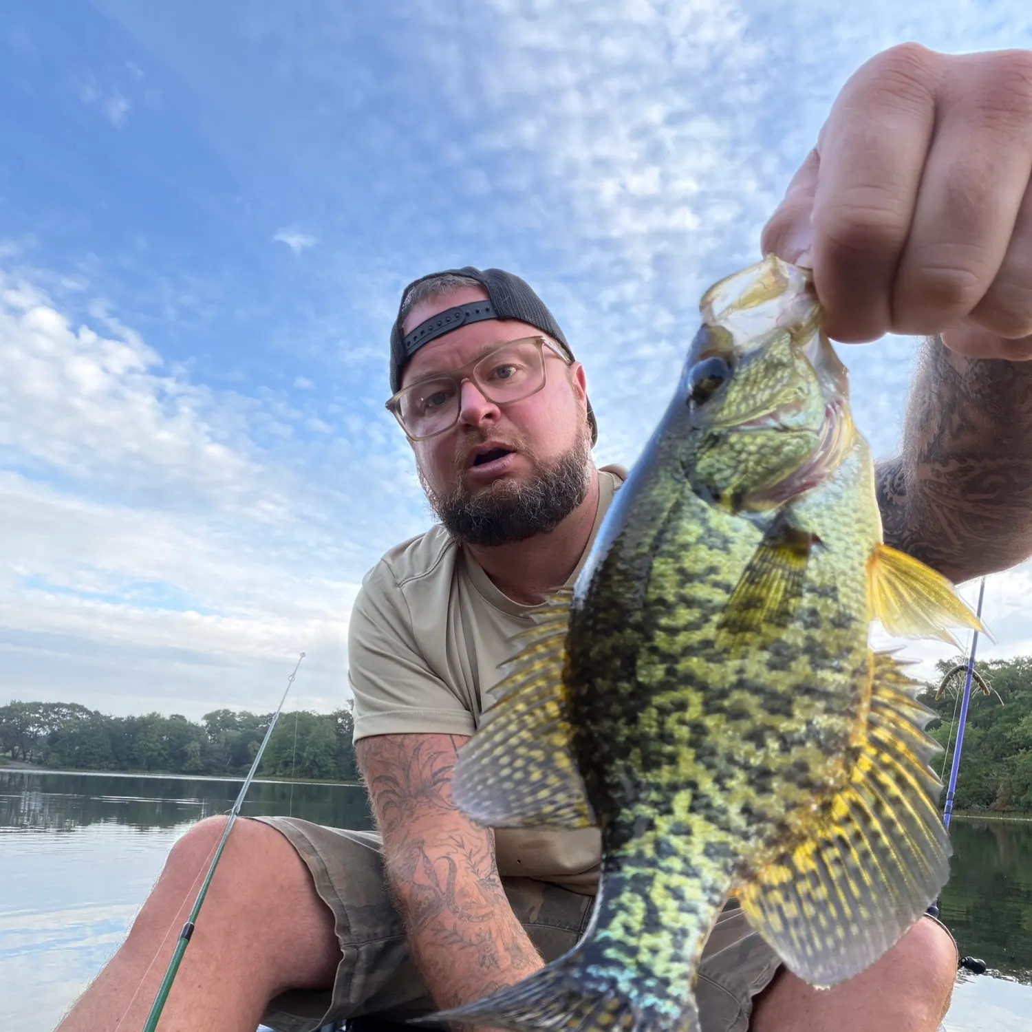 Black crappie caught on Fishbrain