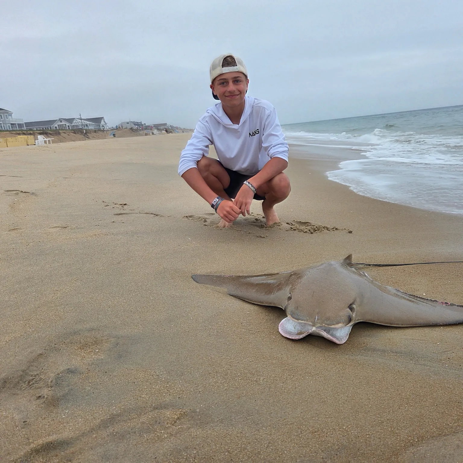 The most recent Cownose Ray catches on Fishbrain