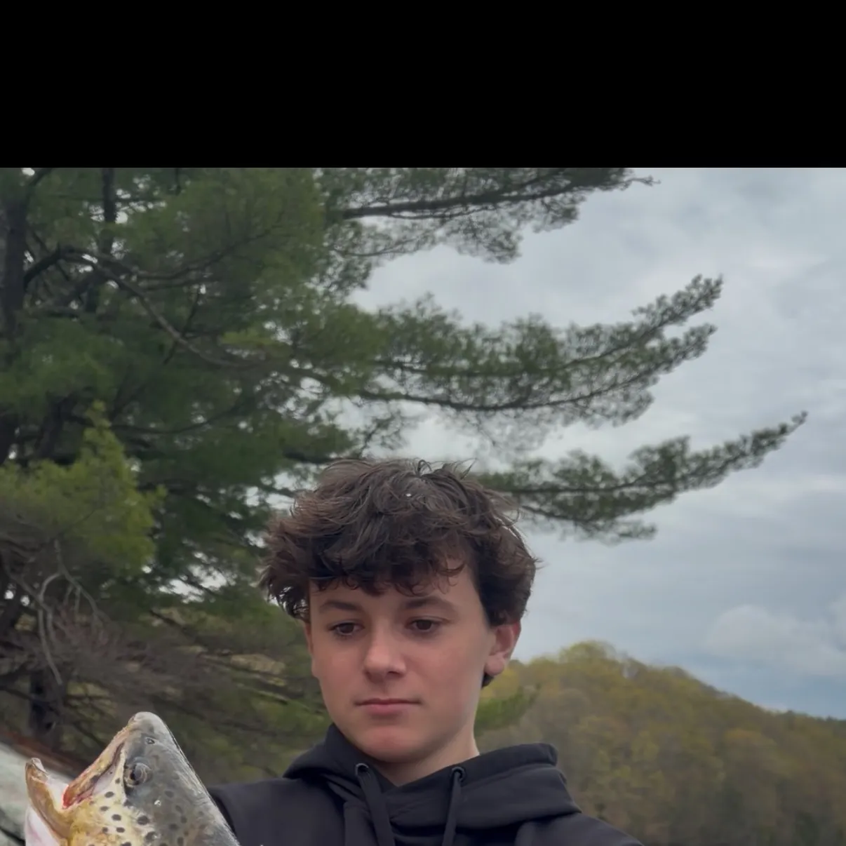 The most recent Seeforellen trout catches on Fishbrain