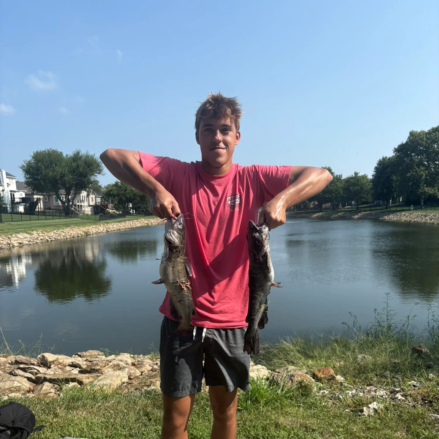 Channel catfish caught on Fishbrain