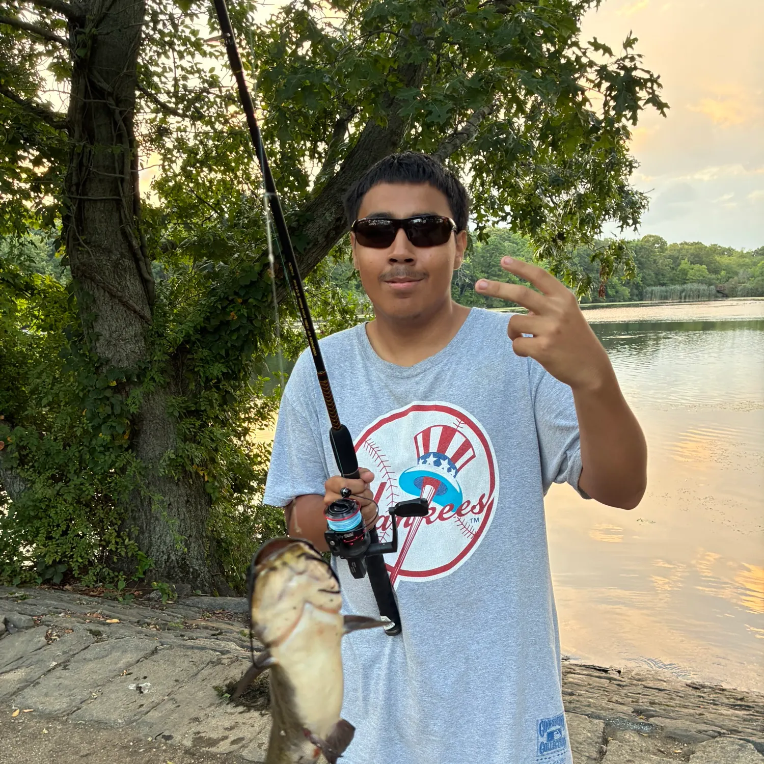 Brown bullhead caught on Fishbrain