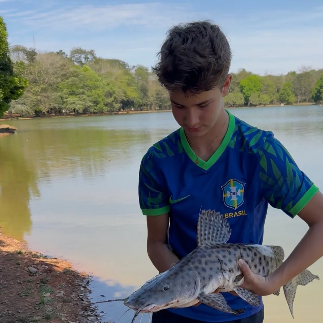 The most recent Spotted sorubim catches on Fishbrain