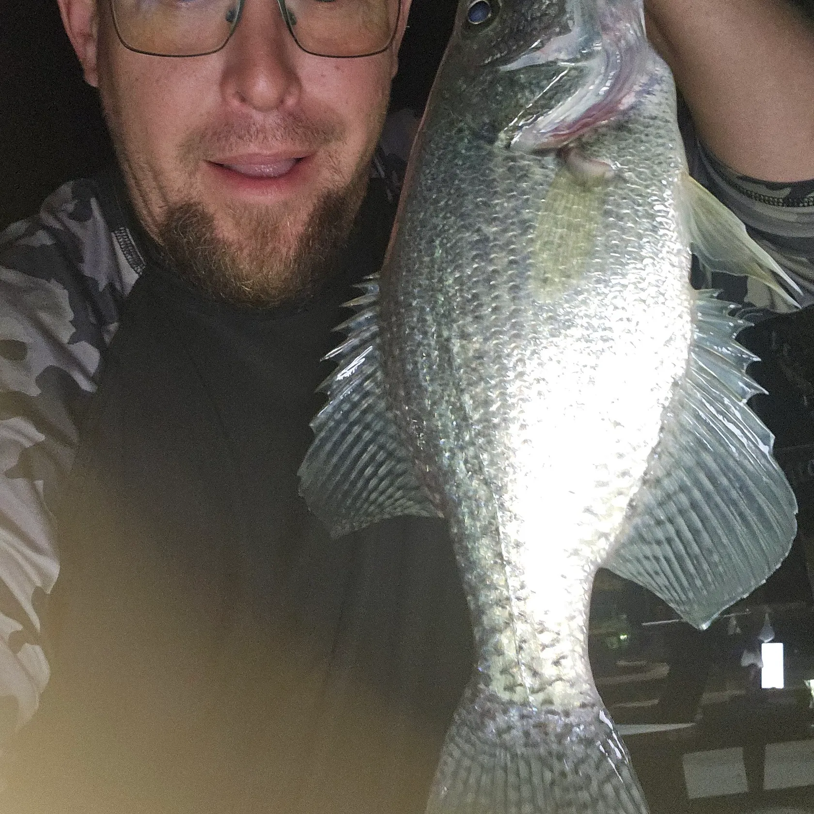 White crappie caught on Fishbrain
