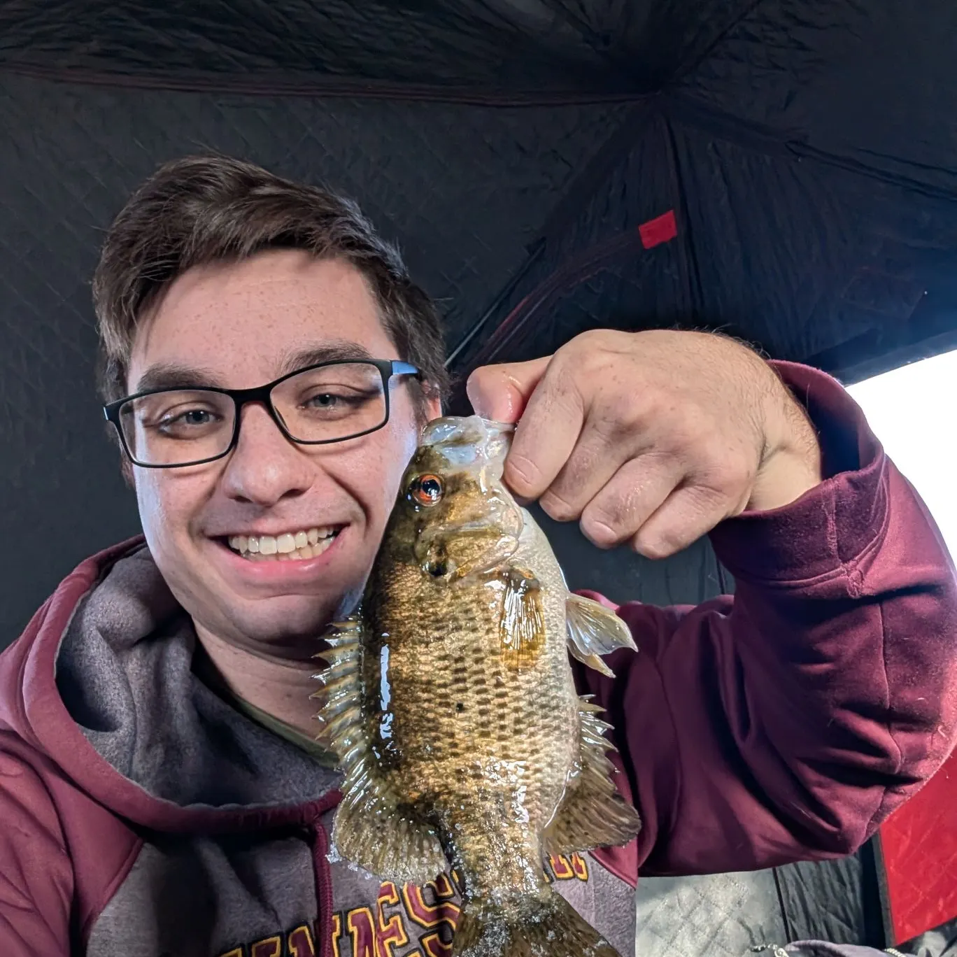 The most recent Rock bass catches on Fishbrain