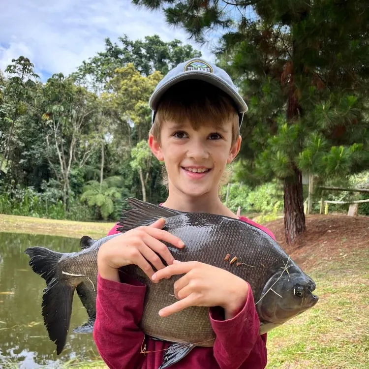 The most recent Black pacu catches on Fishbrain