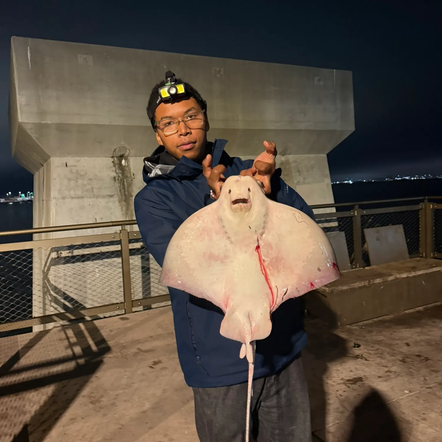 Bat eagle ray caught on Fishbrain
