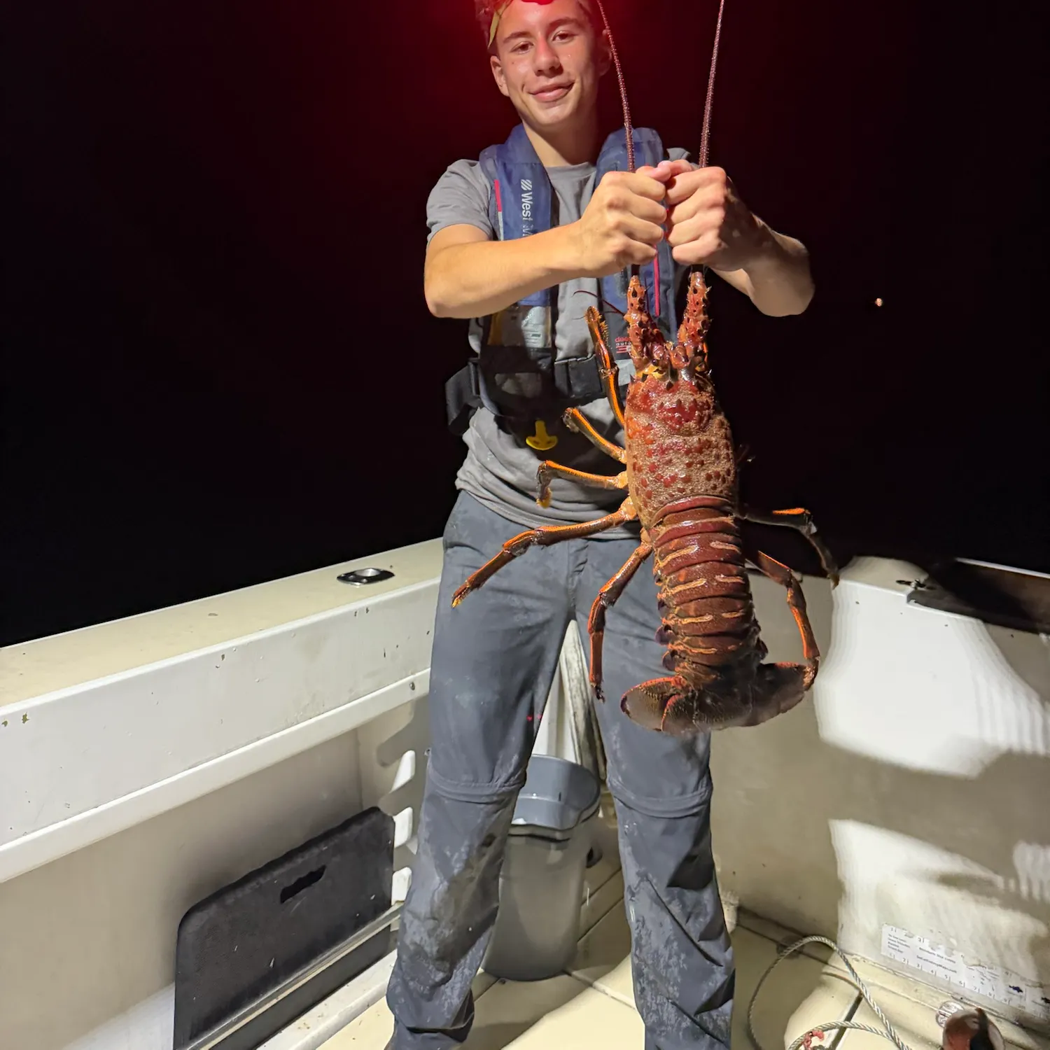 The most recent California spiny lobster catches on Fishbrain
