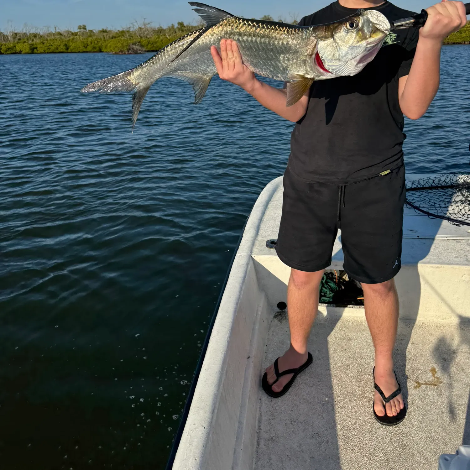 The most recent Tarpon catches on Fishbrain