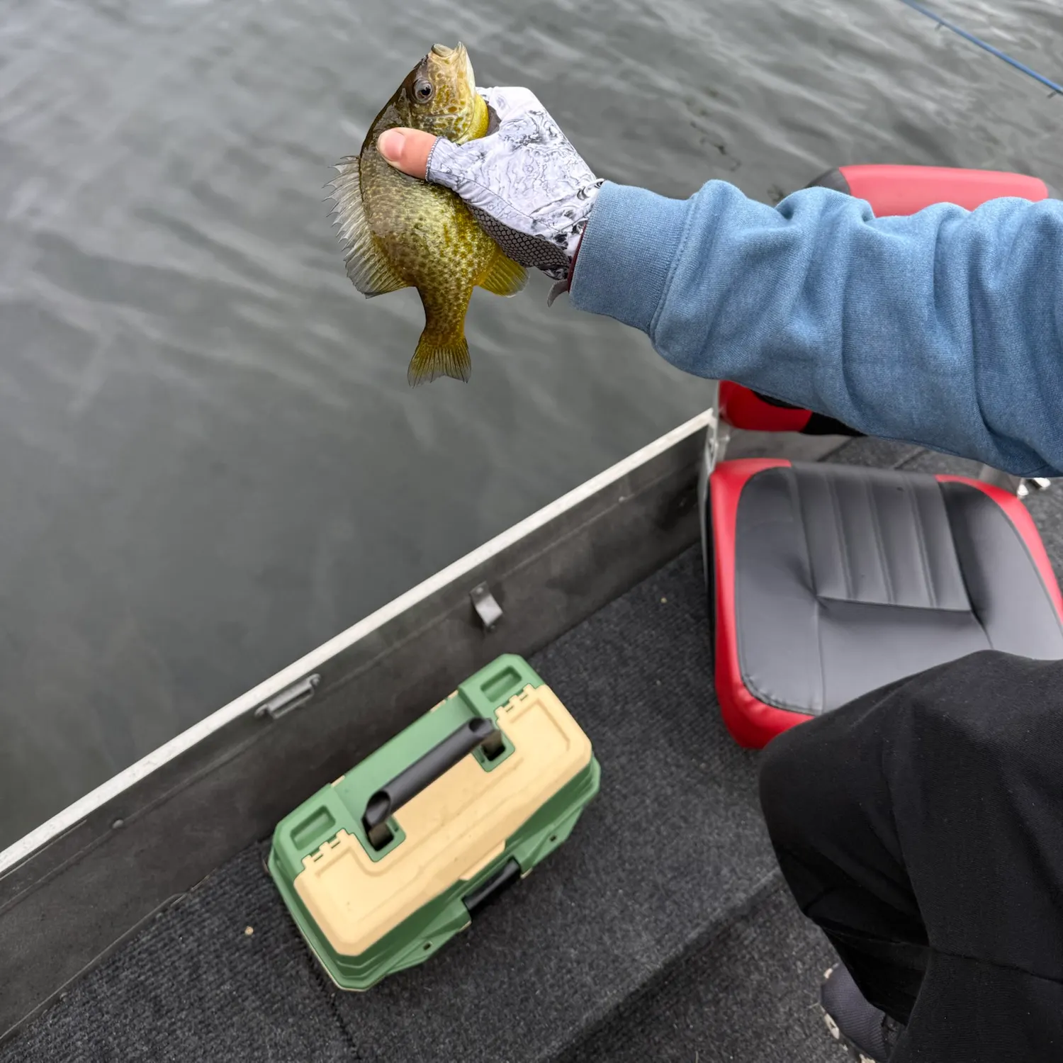 Pumpkinseed caught on Fishbrain