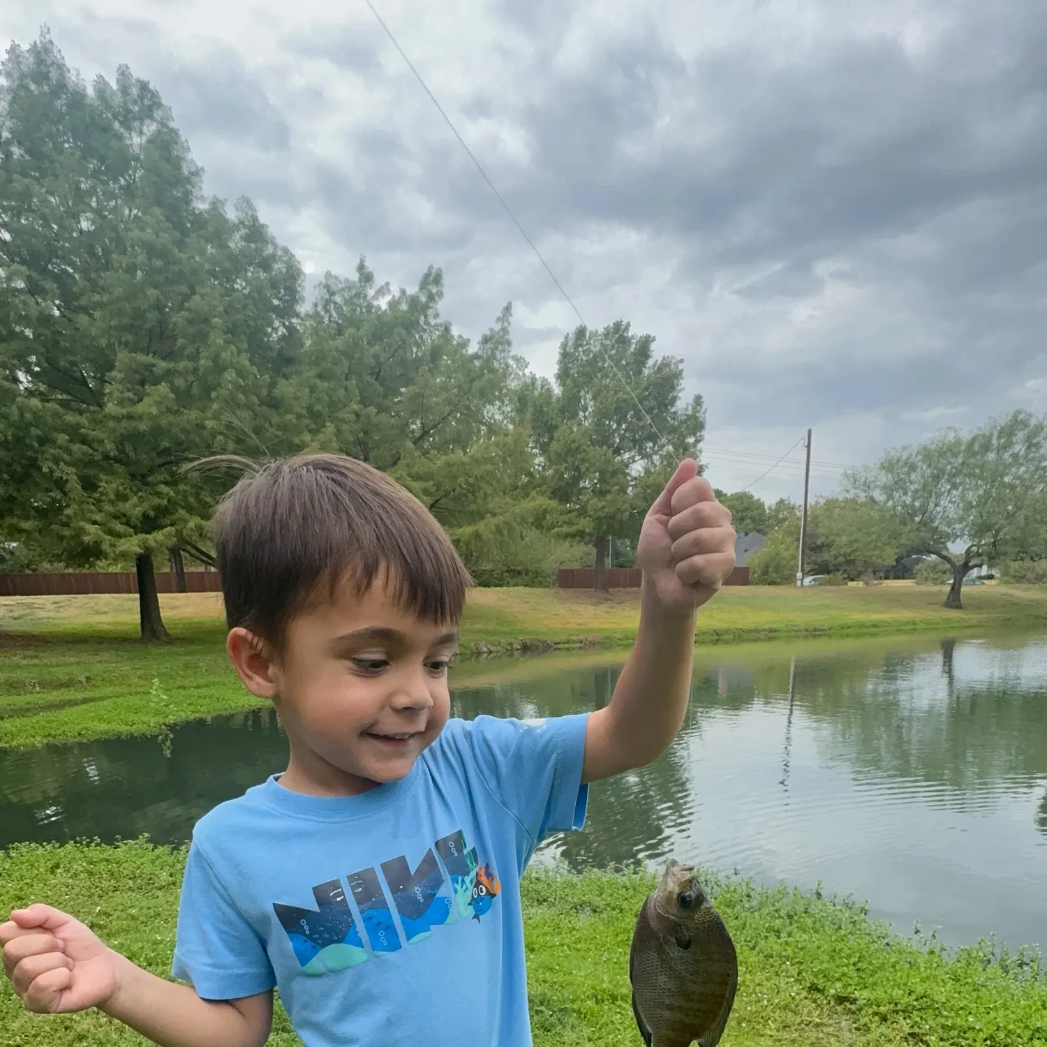 Bluegill caught on Fishbrain