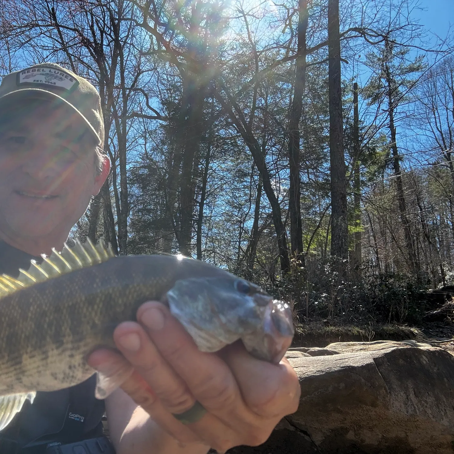 The most recent Bartram's bass catches on Fishbrain