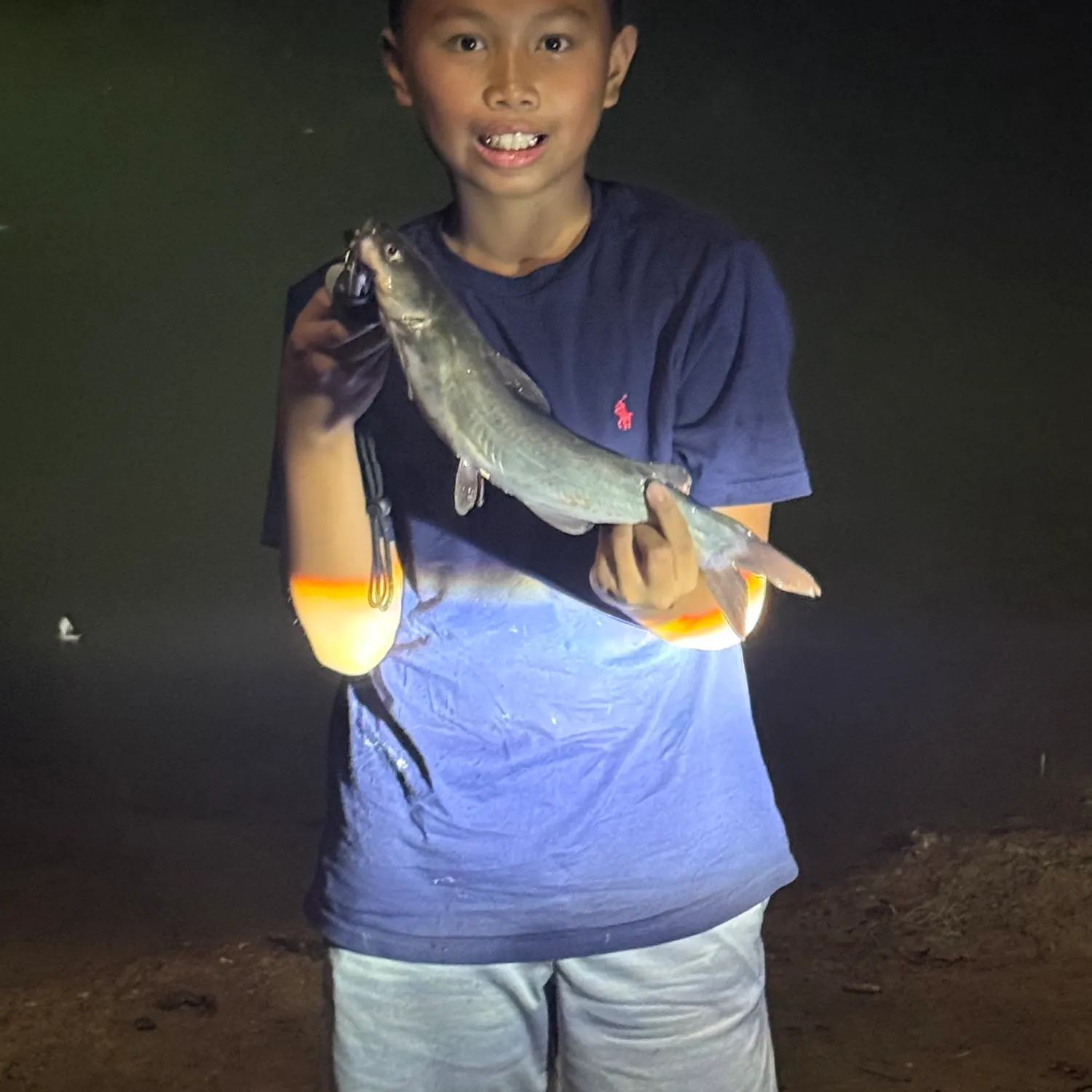 Channel catfish caught on Fishbrain