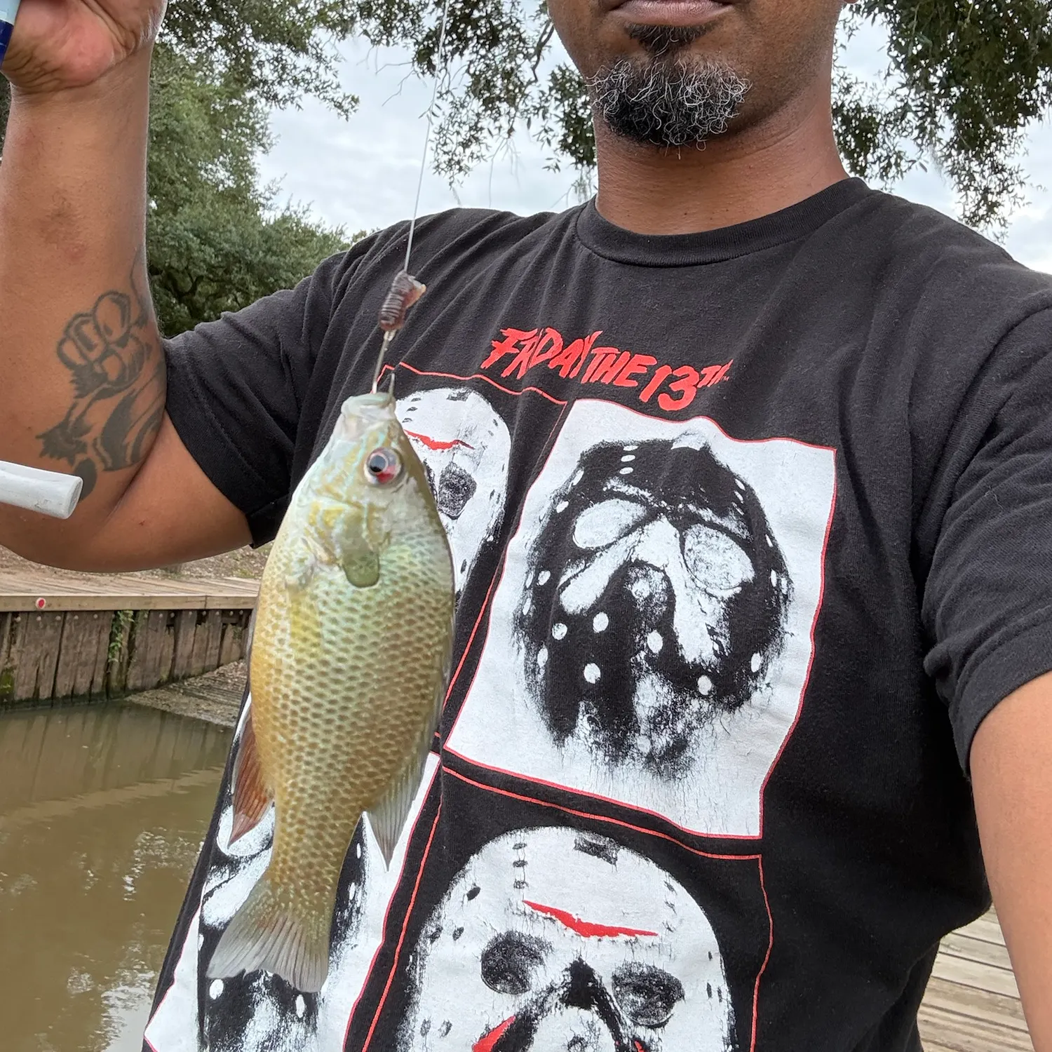 Bluegill caught on Fishbrain