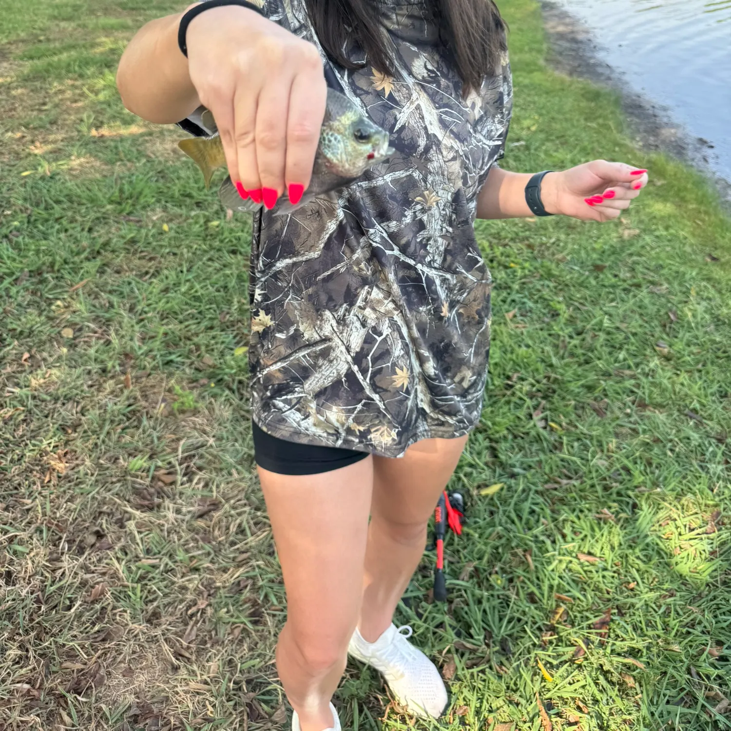 Redear sunfish caught on Fishbrain