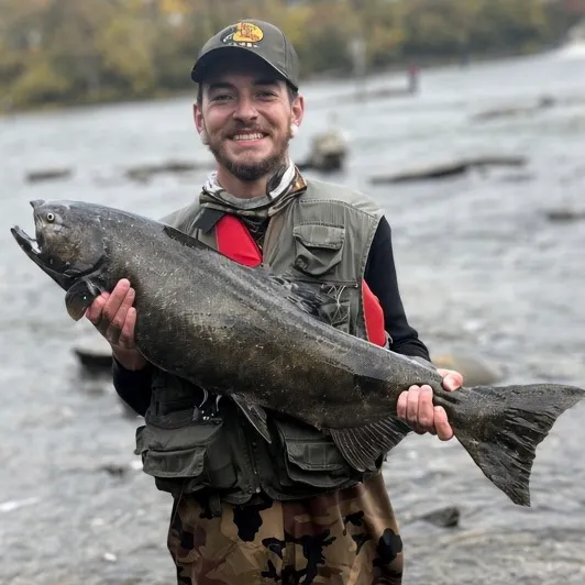 Chinook salmon caught on Fishbrain
