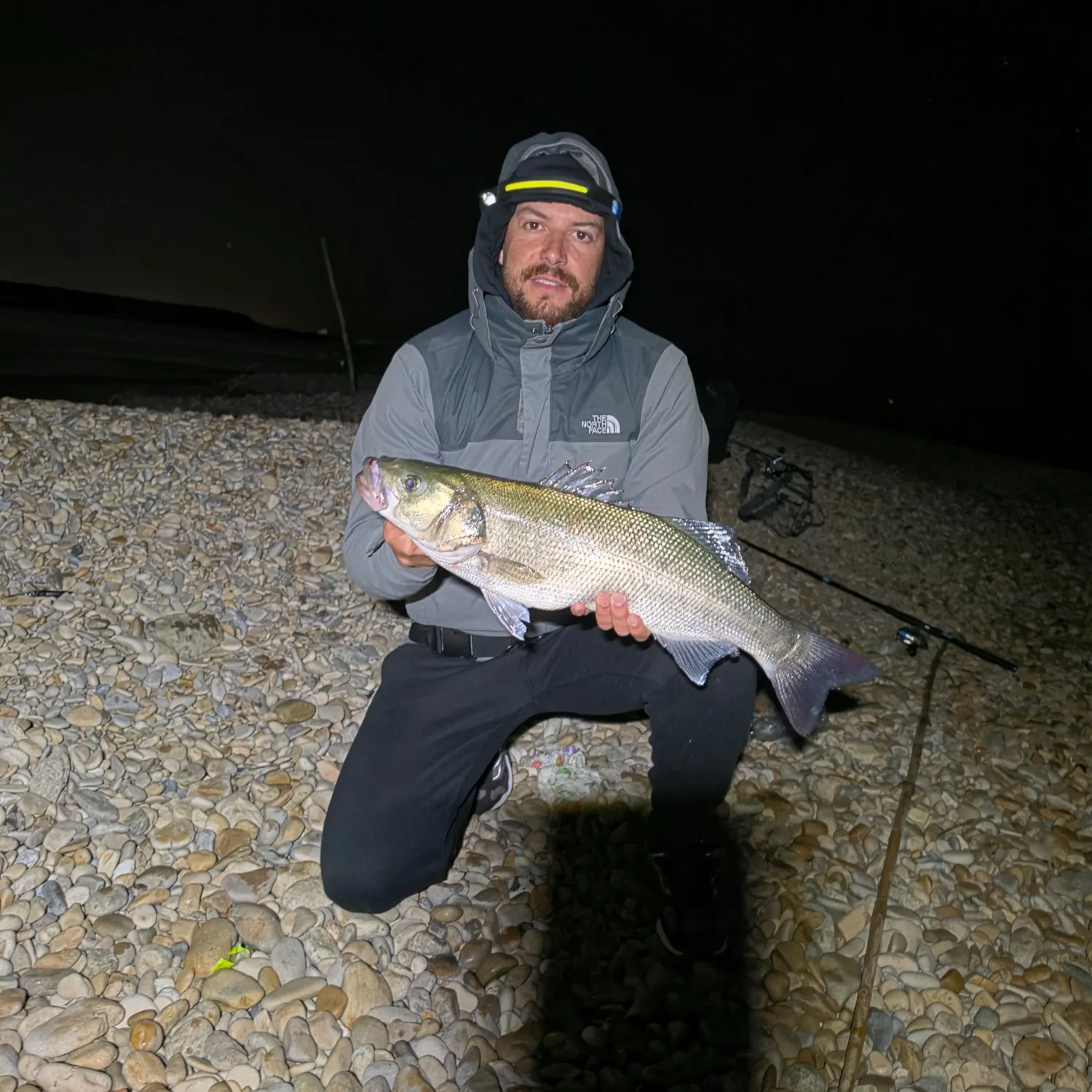 European seabass caught on Fishbrain