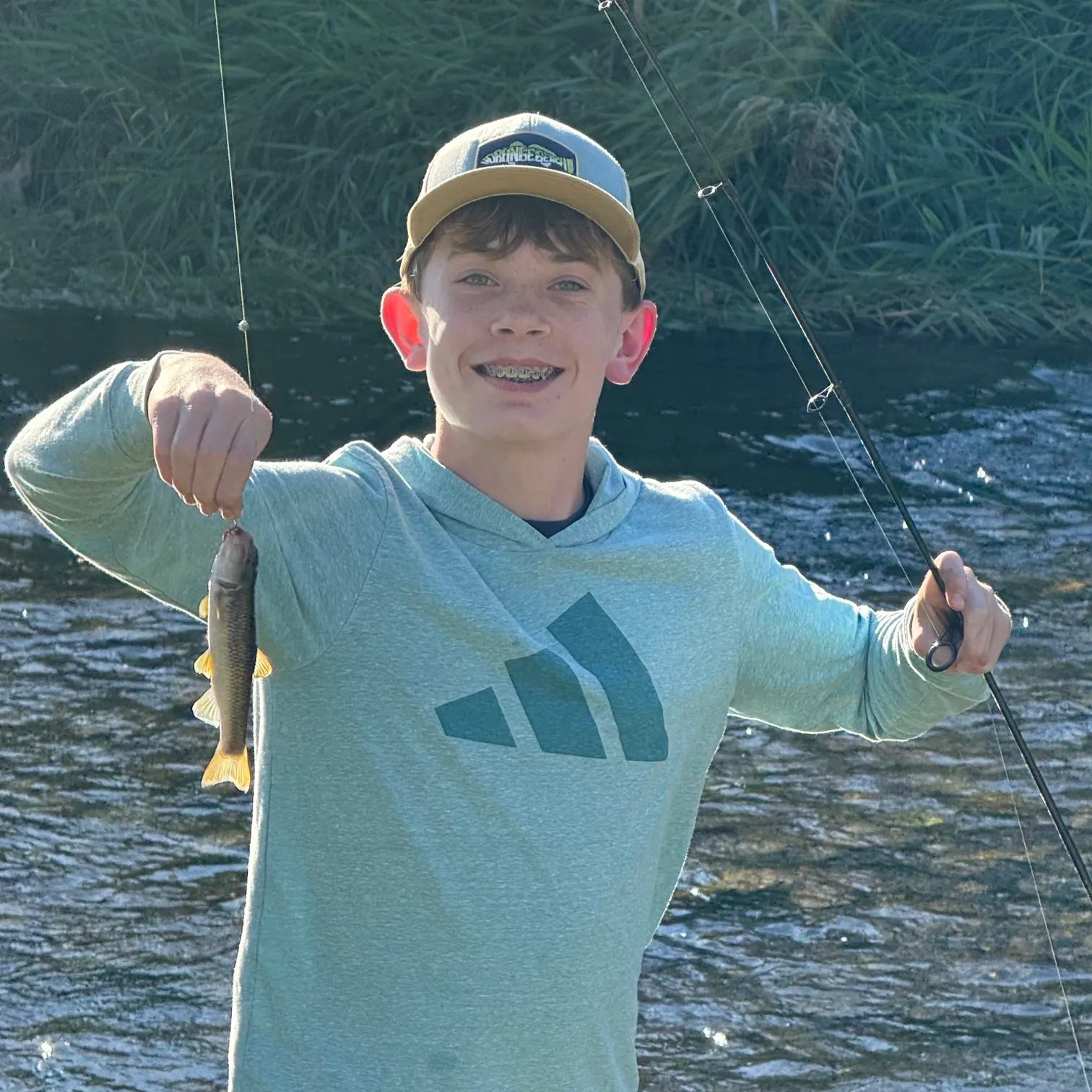 Creek chub caught on Fishbrain